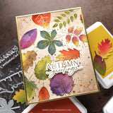 Kristina Werner | C9 : Thankful Leaves | Stamp & Die Bundle