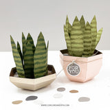 CONCORD & 9 th : Fall Favors | Stamp & Die Bundle