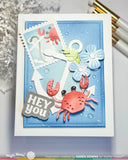 WAFFLE FLOWER: Happy Crabs | Die